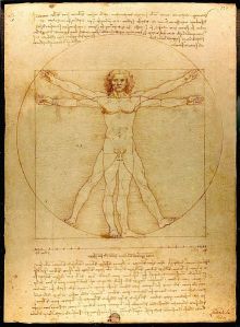 The Vitruvian Man by Leonardo Da Vinci Gallerie dell'Accademia, Venice