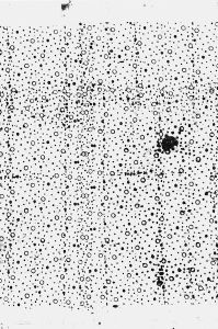 Loose Booty - Christopher Wool - Guggenheim, NYC